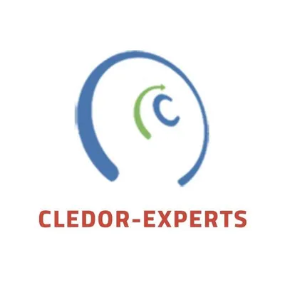 cledor-experts.com's icon