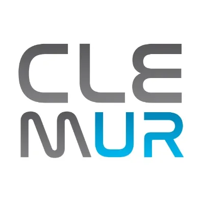 clemur.com's icon