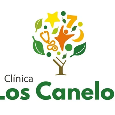 clinicaloscanelos.cl's icon