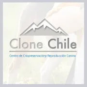 clonechile.com's icon