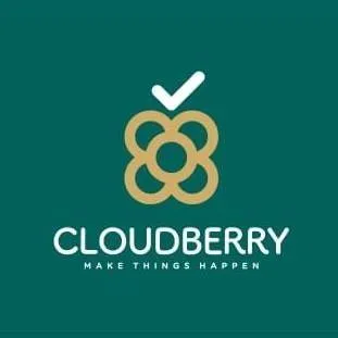 cloudberry-group.com's icon