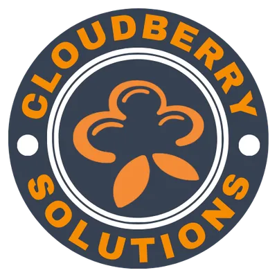 cloudberry-solutions.com's icon