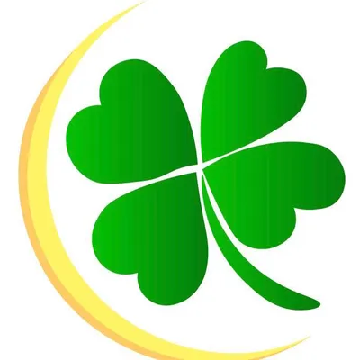 cloverdiagnostic.com's icon
