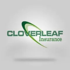cloverleafins.com's icon