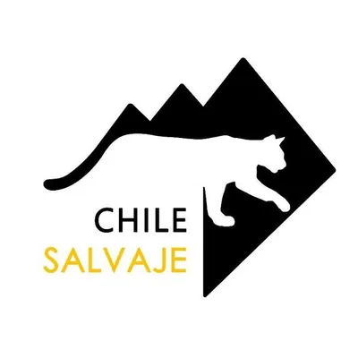 clsalvaje.com's icon