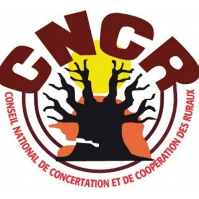 cncr.org's icon
