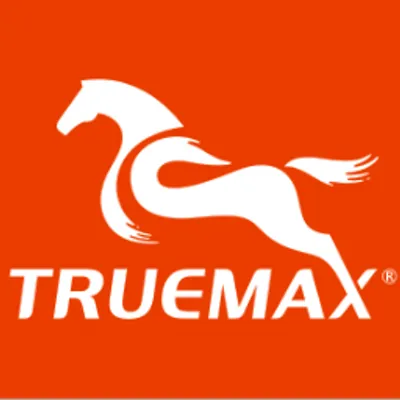 cntruemax.com's icon
