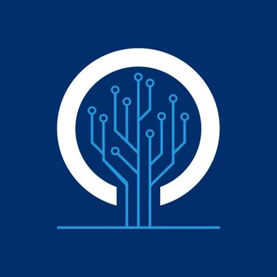 co2networks.com.mx's icon