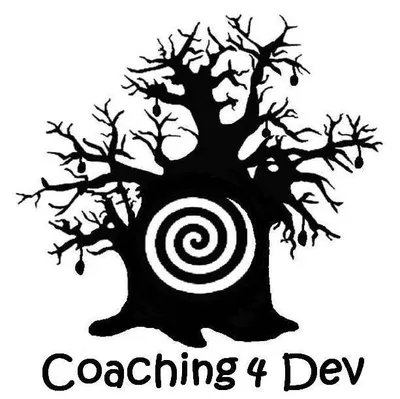 coaching4dev.com's icon
