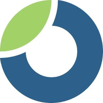 coachview.net's icon