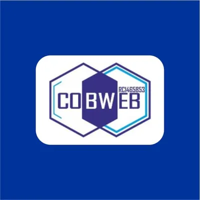 cobwebtel.com's icon
