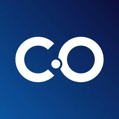 cocoandco.com.do's icon