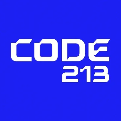 code213.tech's icon