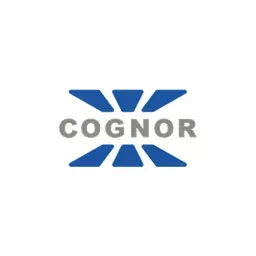Cognor S.A.