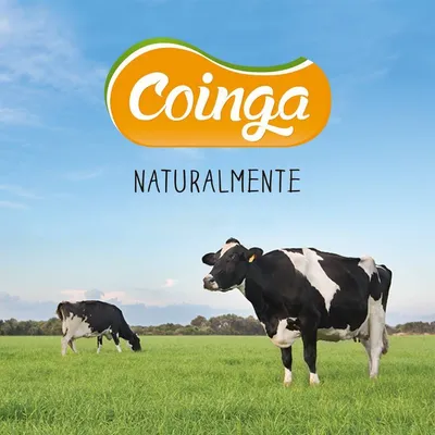 coinga.com's icon