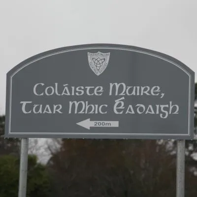colaistemuire.eu's icon