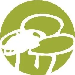 colegiotresolivos.org's icon