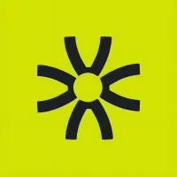 collectiveintelligence.pe's icon