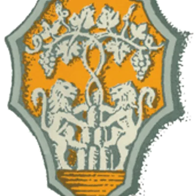 collicimini.it's icon