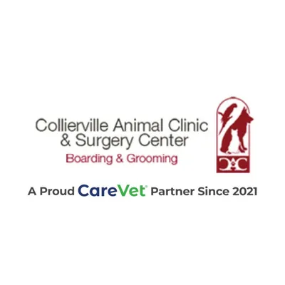 colliervilleanimal.com's icon