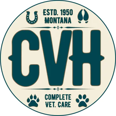 colmeyvet.com's icon