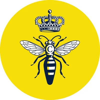 colonystores.com's icon
