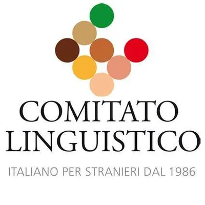 comitatolinguistico.com's icon
