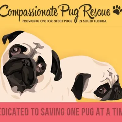 compassionatepugrescue.com's icon