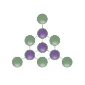 comptek-solutions.com's icon