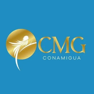 conamigua.gob.gt's icon