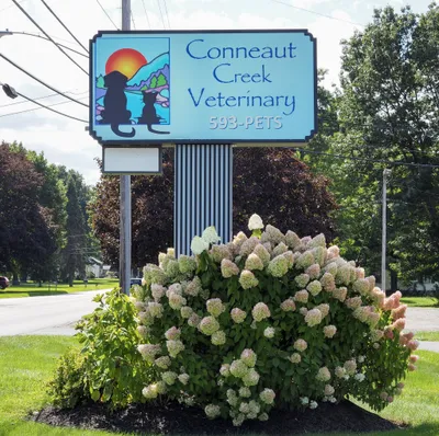 conneautcreekvet.com's icon