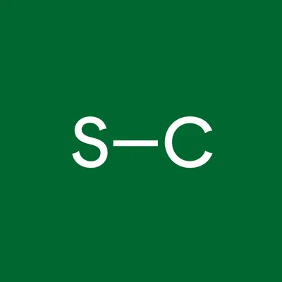 connection.se's icon