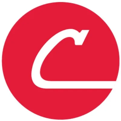 consbrgs.com's icon