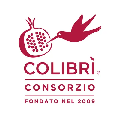 consorziocolibri.com's icon