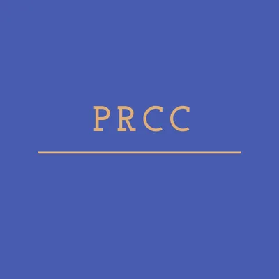 constitutionpr.com's icon