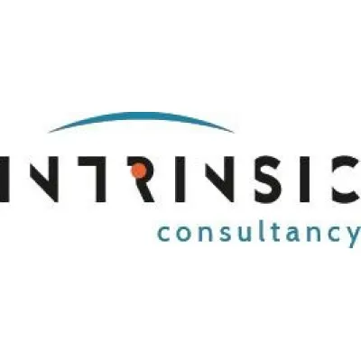 consultintrinsic.com's icon