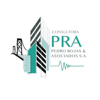 consultorapra.com's icon