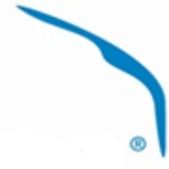 consultspringboard.com's icon