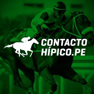 contactohipico.pe's icon