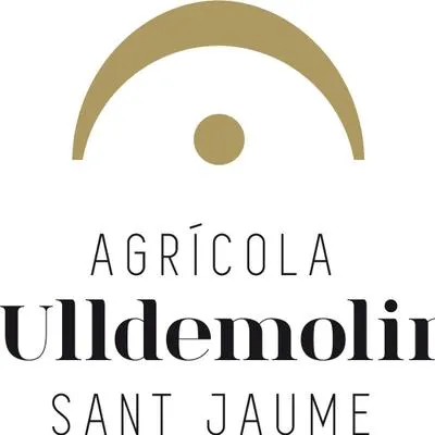 coopulldemolins.com's icon
