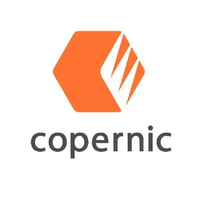 copernic.com's icon