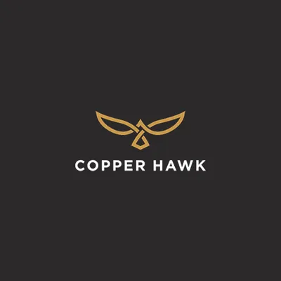 copperhawk.com's icon