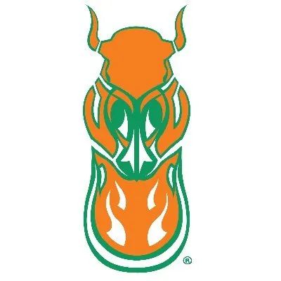 cosaintcyber.com's icon