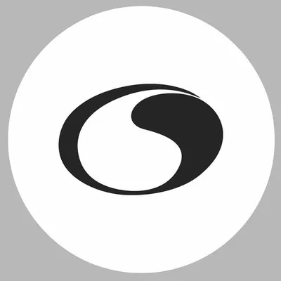 costantini.com.br's icon