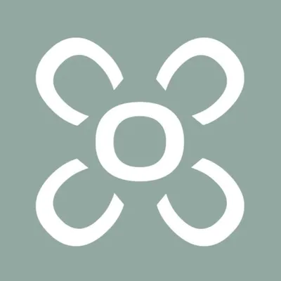 country-concept.lu's icon