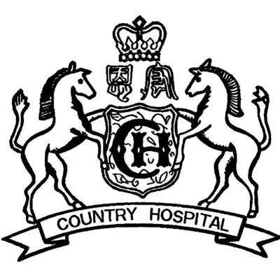 country.org.tw's icon