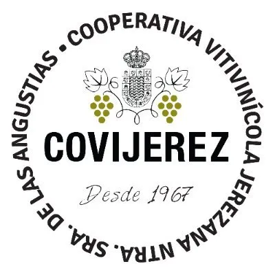 covijerez.com's icon