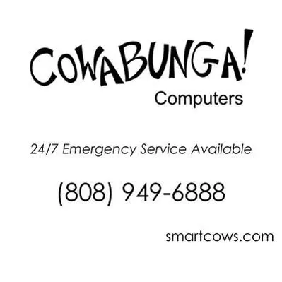 cowabungacomputers.com's icon