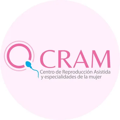 cramconcepcion.cl's icon