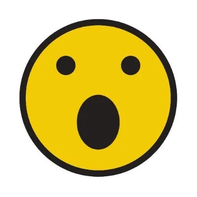 crazyfaceai.com's icon